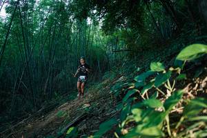 BIB: 
                            <button type="button" onclick="openModal(28124303)" class="btn btn-primary btn-sm float-right btn-popup" data-toggle="modal" data-target=".modal-high-quality">
                        <i class="fas fa-shopping-cart"></i> Add to Cart
                    </button>
                                            <button type="button" onclick="isThisMe(28124303, true)" class="btn btn-success btn-sm float-right btn-popup btn-isme hidden" data-toggle="tooltip" data-placement="bottom" title="นี่คือรูปของคุณใช่ไหม คลิกที่นี่เพื่อเอาเข้าอัลบั้ม">
                        <i class="fas fa-plus"></i> Add to album
                    </button>
                    <button type="button" onclick="isThisMe(28124303, false)" class="btn btn-warning btn-sm float-right btn-popup btn-isnotme hidden">
                        <i class="fas fa-ban"></i> Remove from album
                    </button>